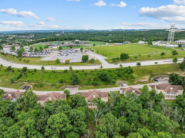 128 Mulligan Ct, Branson, MO 65616 - aerial overview of property's location