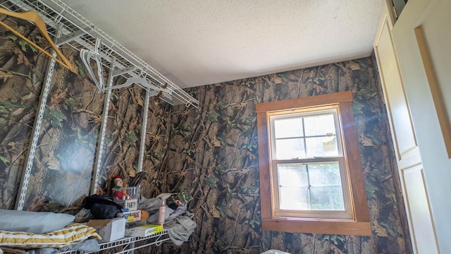 12 Riverbend Rd, Mammoth Spring, AR 72554 - detailed view of a textured ceiling