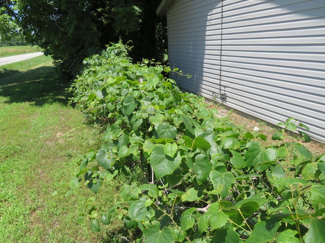 21515 S 215th Hwy, Dadeville, MO 65635 - photo 22