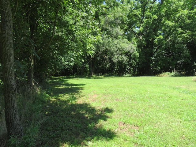 21515 S 215th Hwy, Dadeville, MO 65635 - photo 39