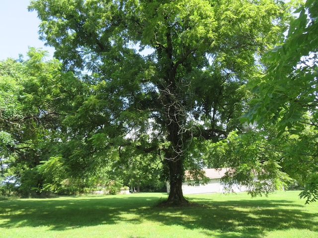 21515 S 215th Hwy, Dadeville, MO 65635 - photo 42