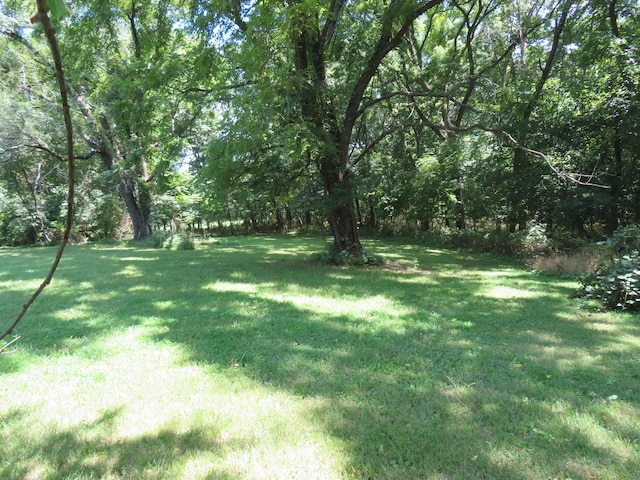 21515 S 215th Hwy, Dadeville, MO 65635 - photo 43