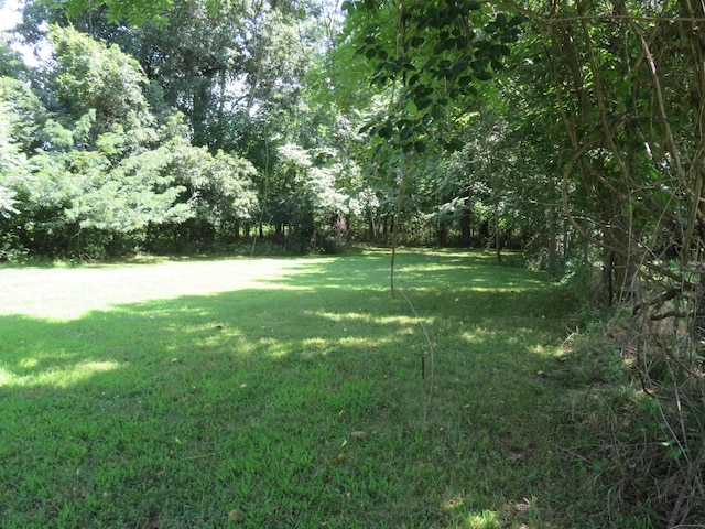 21515 S 215th Hwy, Dadeville, MO 65635 - photo 49