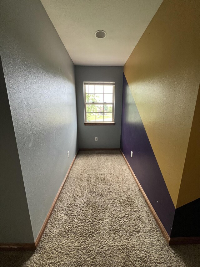 1106 E Torrey Pines Dr, Ozark, MO 65721 - photo 37
