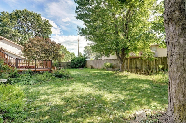 3443 S Kings Ave, Springfield, MO 65807 - photo 31