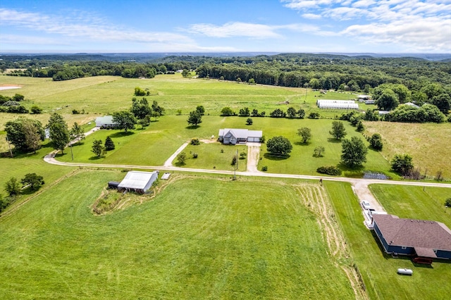 124 Plainview Dr, Seymour, MO 65746 - photo 27