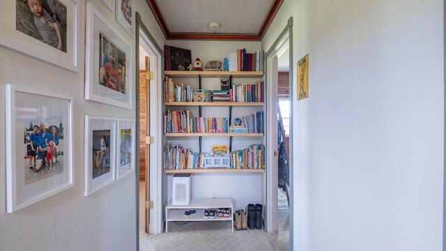 243 Tabor Dr, Theodosia, MO 65761 - photo 53