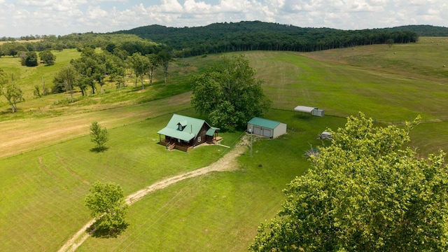 243 Tabor Dr, Theodosia, MO 65761 - photo 70