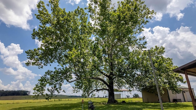 243 Tabor Dr, Theodosia, MO 65761 - photo 66
