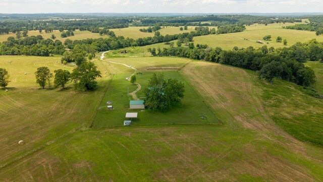 243 Tabor Dr, Theodosia, MO 65761 - photo 78