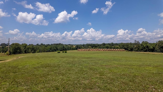 243 Tabor Dr, Theodosia, MO 65761 - photo 64