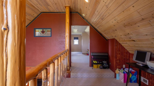243 Tabor Dr, Theodosia, MO 65761 - photo 38