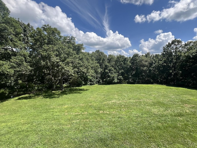 7876 County Road 3400, Mountain View, MO 65548 - view of green lawn featuring a view of trees