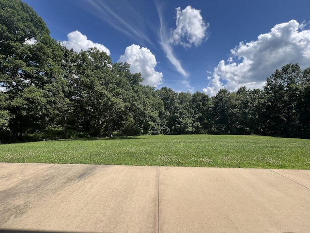 7876 County Road 3400, Mountain View, MO 65548 - view of grassy yard