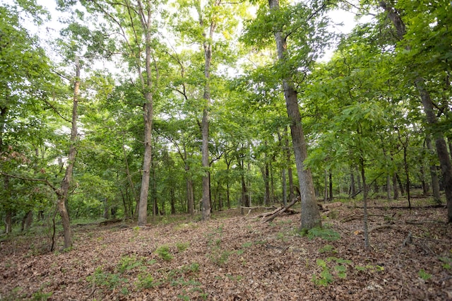 0000 Antelope Rd, Joplin, MO 64804 - photo 68