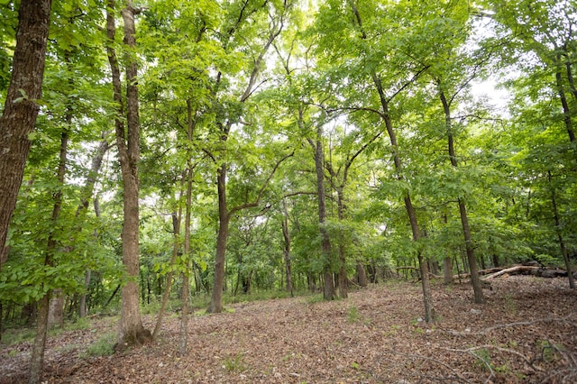 0000 Antelope Rd, Joplin, MO 64804 - photo 67