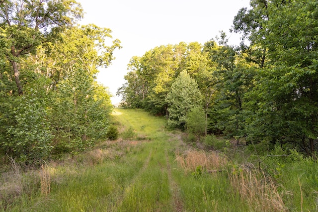 0000 Antelope Rd, Joplin, MO 64804 - photo 49