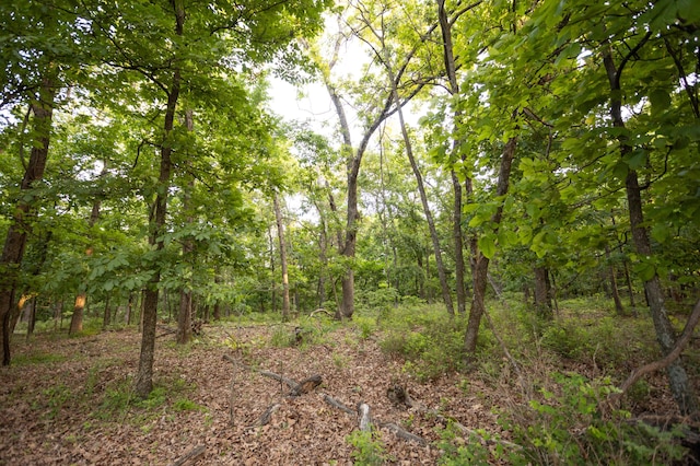 0000 Antelope Rd, Joplin, MO 64804 - photo 71