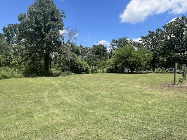 2039 US Highway 65, Buffalo, MO 65622 - view of green lawn