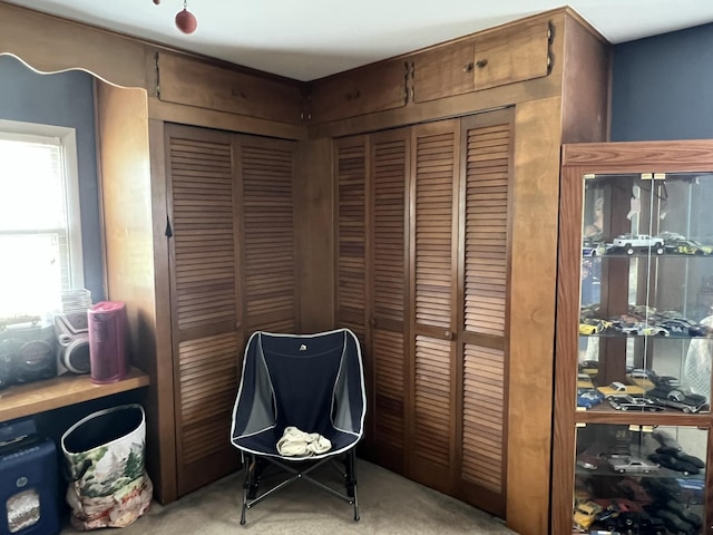 2039 US Highway 65, Buffalo, MO 65622 - interior space featuring light colored carpet and a closet