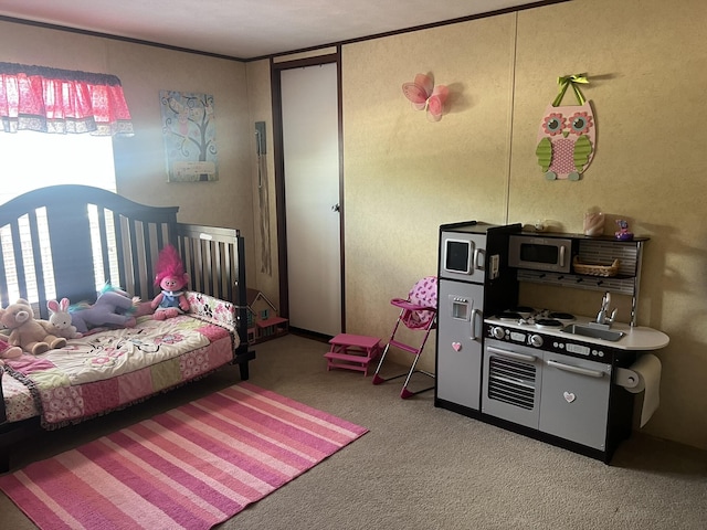 2039 US Highway 65, Buffalo, MO 65622 - view of carpeted bedroom