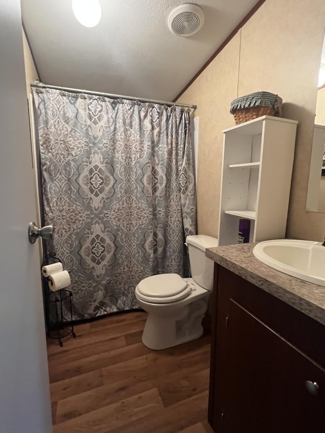 2039 US Highway 65, Buffalo, MO 65622 - bathroom featuring wood finished floors, lofted ceiling, vanity, and a shower with curtain