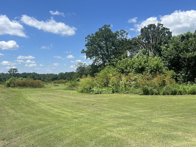2039 US Highway 65, Buffalo, MO 65622 - view of green lawn