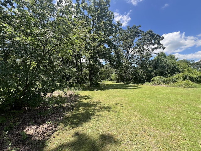 2039 US Highway 65, Buffalo, MO 65622 - view of grassy yard