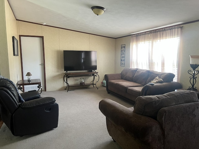 2039 US Highway 65, Buffalo, MO 65622 - living room with carpet flooring and crown molding
