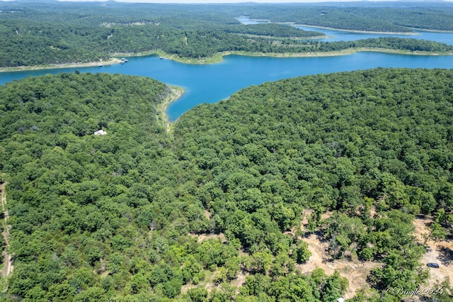538 Mc 136, Oakland, AR 72661 - photo 8