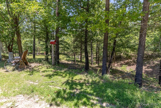 538 Mc 136, Oakland, AR 72661 - photo 4