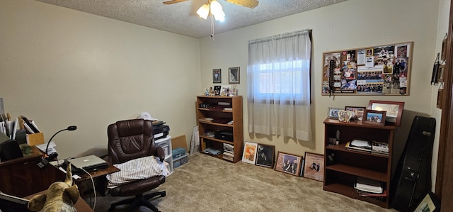 224 Crawford St, West Plains, MO 65775 - photo 6