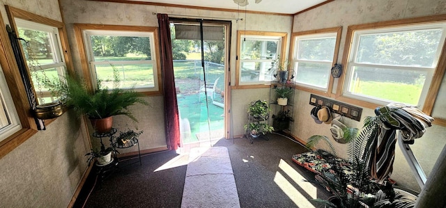 224 Crawford St, West Plains, MO 65775 - photo 8