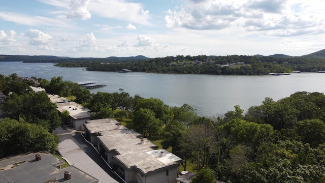 3 Port Holiday Dr Unit D, Kimberling City, MO 65686 - photo 50