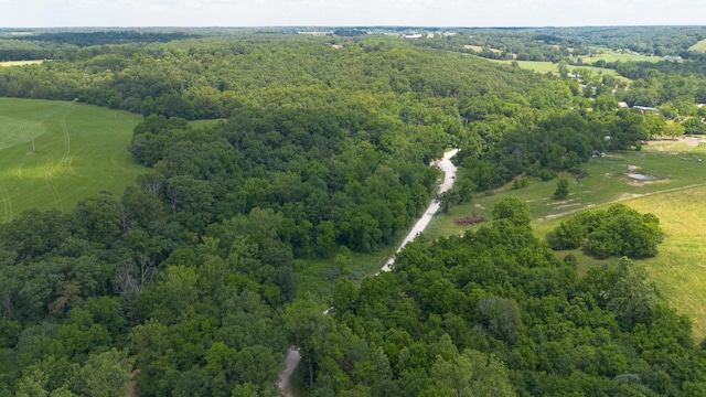 0 Bell Ford Rd, Marshfield, MO 65706 - photo 11