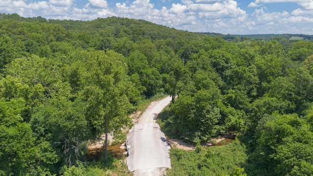 0 Bell Ford Rd, Marshfield, MO 65706 - photo 7