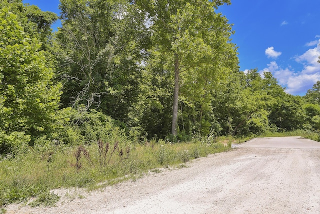 0 Bell Ford Rd, Marshfield, MO 65706 - photo 6