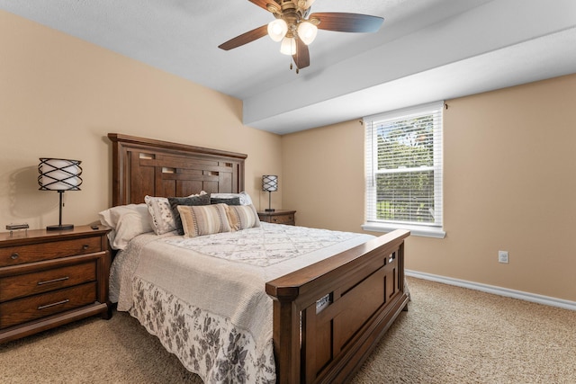 185 Old Meadow Ln, Branson, MO 65616 - photo 31