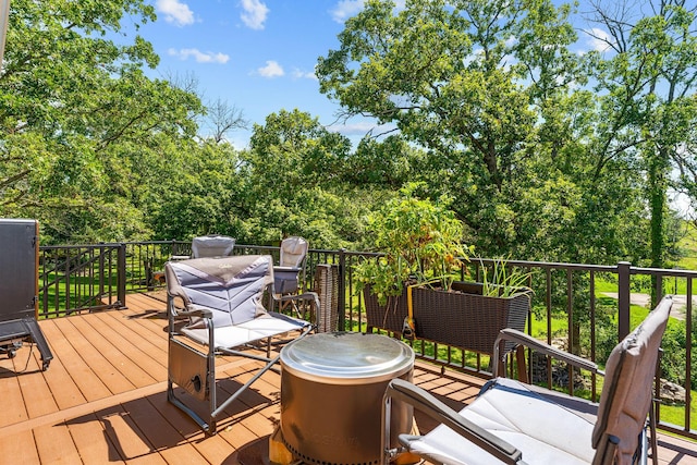 185 Old Meadow Ln, Branson, MO 65616 - photo 41