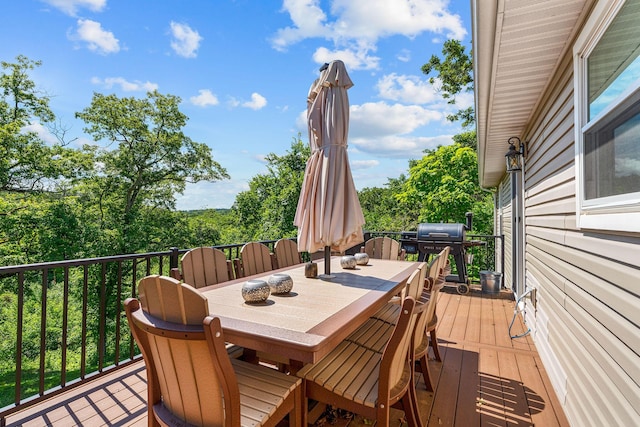 185 Old Meadow Ln, Branson, MO 65616 - photo 39