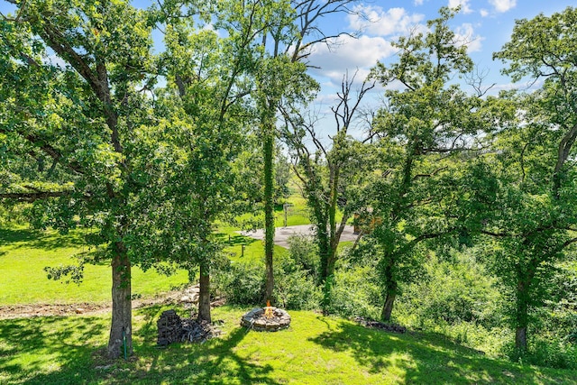 185 Old Meadow Ln, Branson, MO 65616 - photo 47