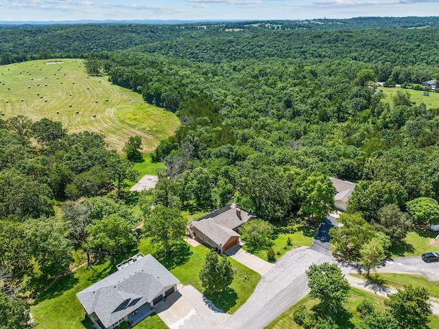 185 Old Meadow Ln, Branson, MO 65616 - photo 56