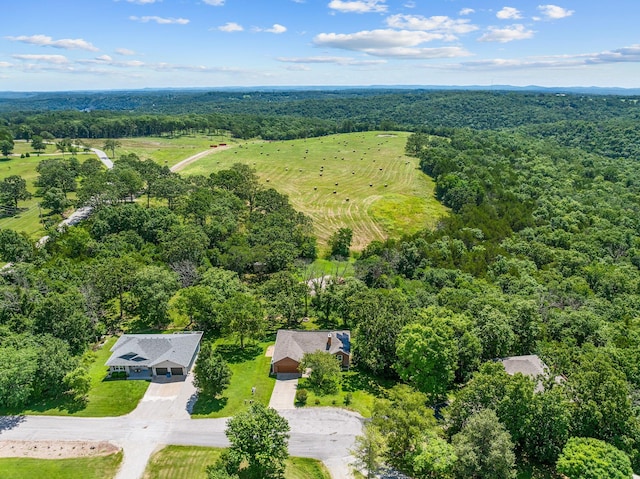 185 Old Meadow Ln, Branson, MO 65616 - photo 57