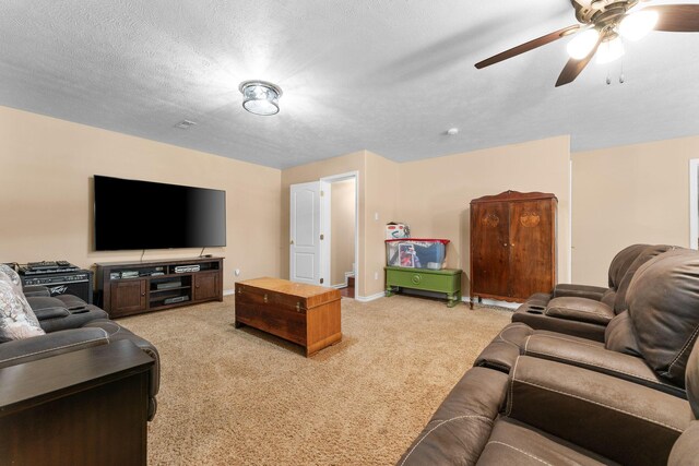 185 Old Meadow Ln, Branson, MO 65616 - photo 28