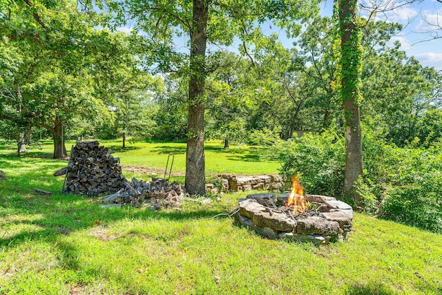185 Old Meadow Ln, Branson, MO 65616 - photo 48