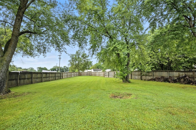204 N Arlington Dr, Carl Junction, MO 64834 - photo 49