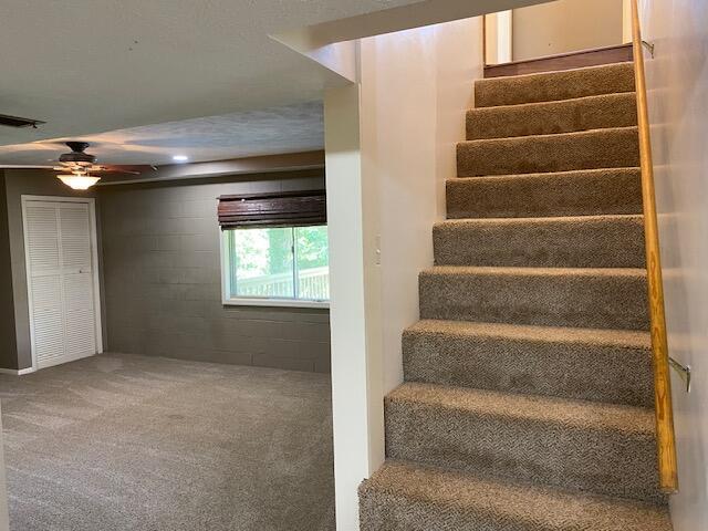 41 Skyline Dr, Kimberling City, MO 65686 - photo 15