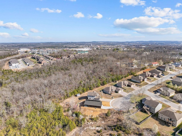 128 Sapling Dr, Branson, MO 65616 - photo 42