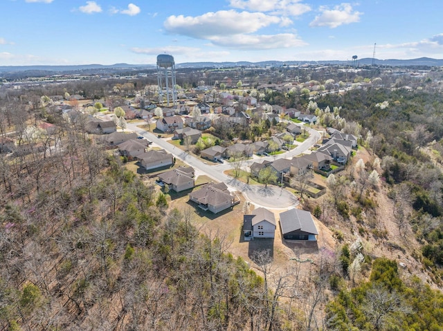 128 Sapling Dr, Branson, MO 65616 - photo 40