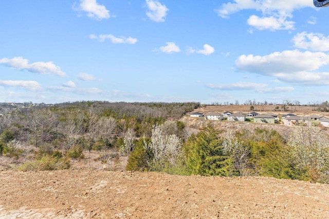 128 Sapling Dr, Branson, MO 65616 - photo 32